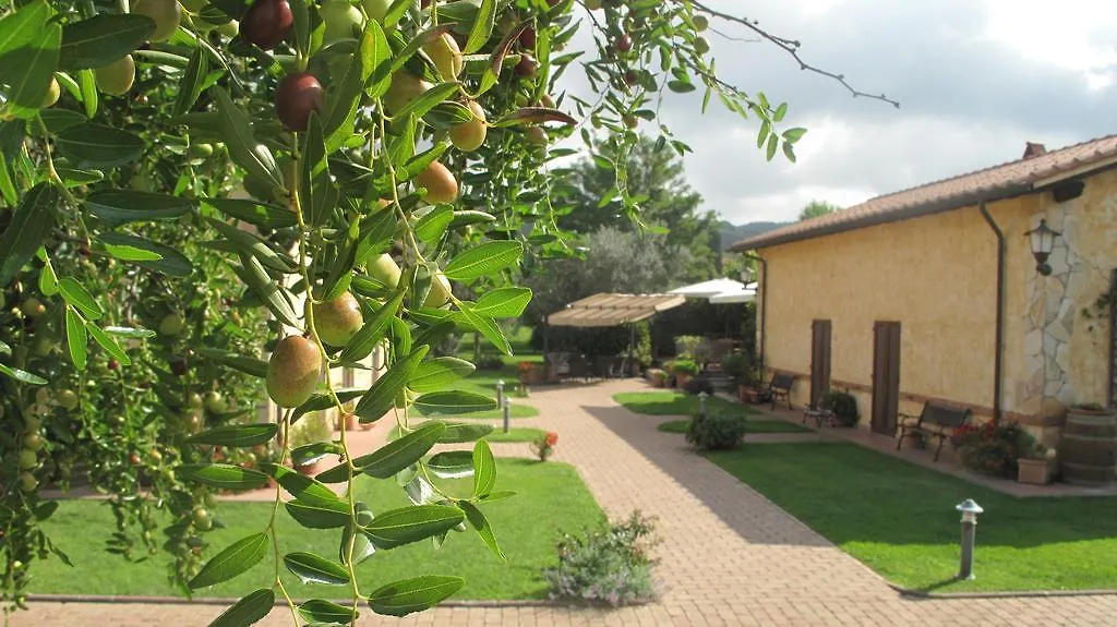 Podere Turicchio 奥尔贝泰洛 0*,  意大利
