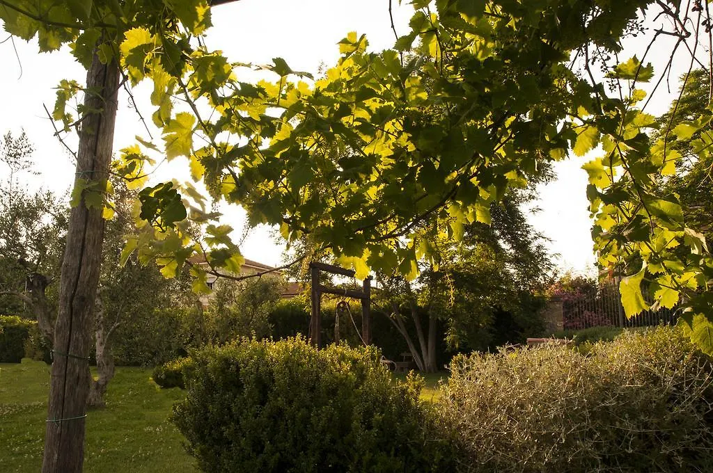 Podere Turicchio 奥尔贝泰洛 意大利