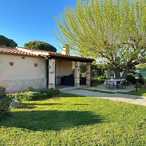 Casa Il Pino Casa vacanze